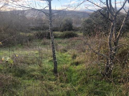 imagen 3 de Venta de finca con buen acceso