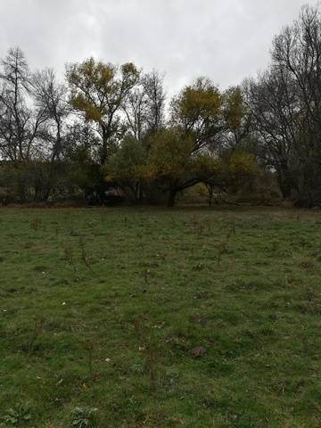 imagen 2 de Venta de varias fincas en Sorihuela (Salamanca)
