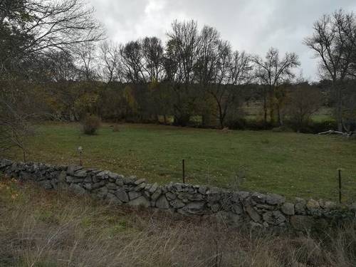 imagen 1 de Venta de varias fincas en Sorihuela (Salamanca)