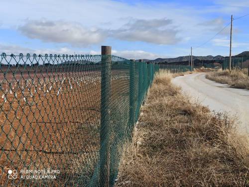 imagen 7 de Finca de almendros superintensivo ecológico Guadix