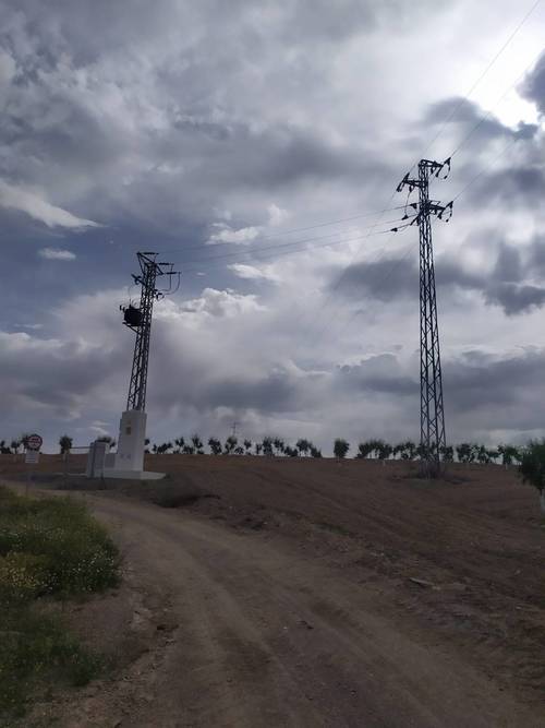 imagen 6 de Finca de almendros de 180 has en Guadix