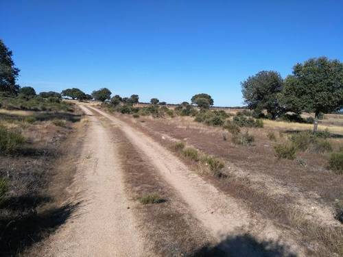 imagen 2 de Venta de finca en Zafrón (Salamanca)