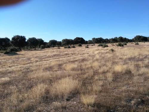imagen 3 de Venta de finca en Zafrón (Salamanca)