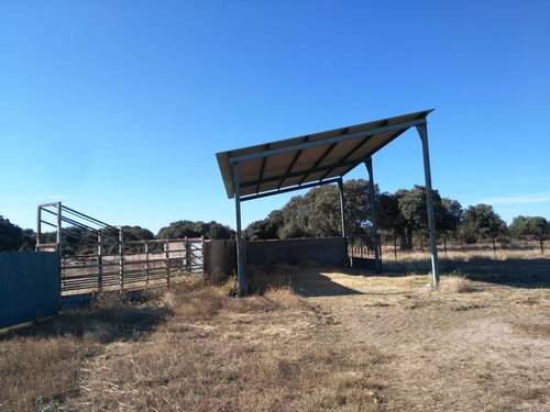 imagen 4 de Venta de finca en Zafrón (Salamanca)