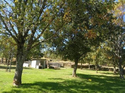 imagen 1 de Venta de finca con casa y piscina en Béjar (Salamanca)