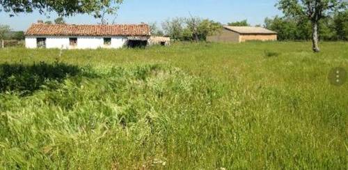 imagen 1 de Venta de finca ganadera en Salamanca