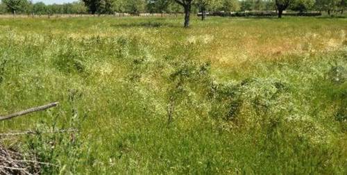 imagen 1 de Venta de finca ganadera en Salamanca