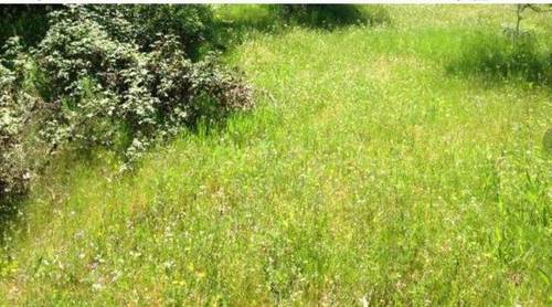 imagen 2 de Venta de finca ganadera en Salamanca