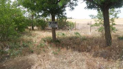 imagen 1 de Venta de parcela urbana en Aldealengua