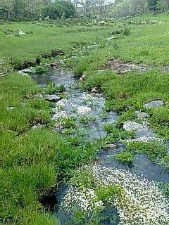 imagen 3 de Venta de finca cerrada en Salamanca