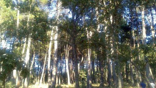 imagen 2 de Venta de finca cerrada en Salamanca