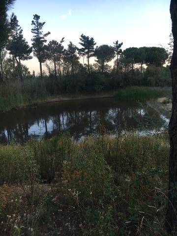 imagen 2 de Venta de finca con vivienda en Zamayón