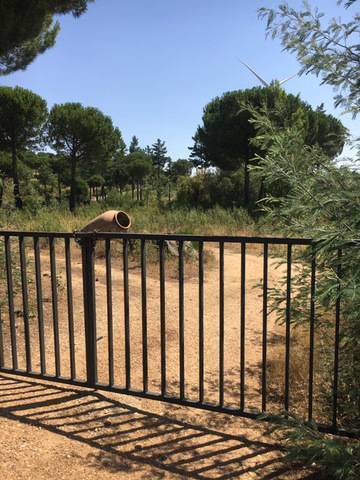 imagen 3 de Venta de finca con vivienda en Zamayón