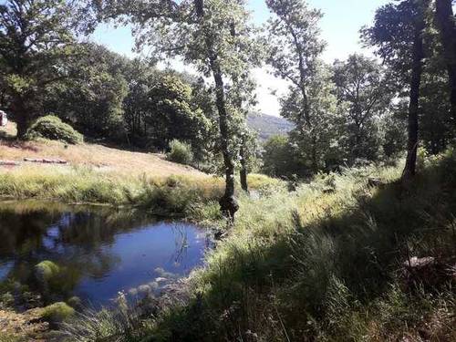 imagen 1 de Venta de finca en plena sierra (Salamanca)