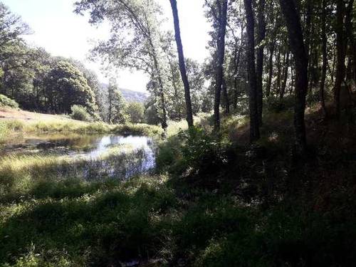 imagen 2 de Venta de finca en plena sierra (Salamanca)