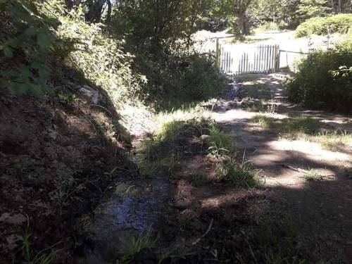imagen 3 de Venta de finca en plena sierra (Salamanca)