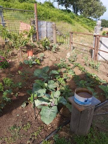 imagen 3 de Venta de finca de recreo en Béjar