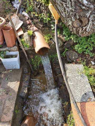 imagen 4 de Venta de finca de recreo en Béjar
