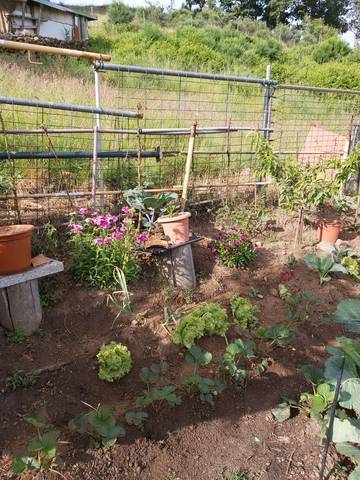imagen 2 de Venta de finca de recreo en Béjar