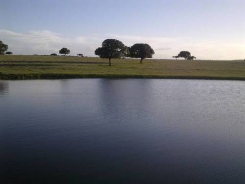 imagen 1 de Venta de finca (Dehesa) cerca de Vecinos