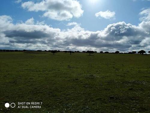 imagen 3 de Venta de finca (Dehesa) cerca de Vecinos