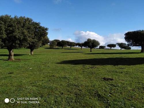 imagen 2 de Venta de finca (Dehesa) cerca de Vecinos