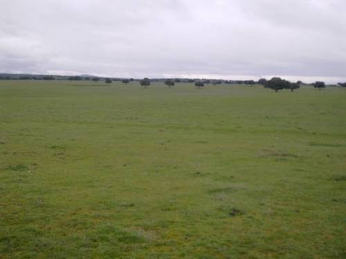imagen 4 de Venta de finca (Dehesa) cerca de Vecinos