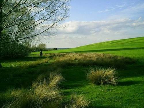 imagen 1 de Venta de estupendas fincas agrícolas y ganaderas en Riaza (Segovia)