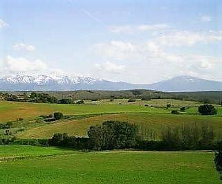 imagen 2 de Venta de estupendas fincas agrícolas y ganaderas en Riaza (Segovia)