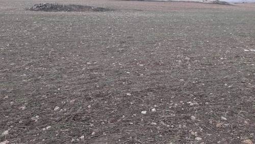 imagen 1 de Venta de finca de labor en Sepúlveda (Segovia)