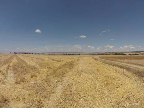 imagen 1 de Venta de finca con múltiples posibilidades en Castillejo de Mesleón (Segovia)