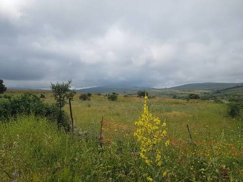 imagen 1 de Venta de finca valla en Navas de San Antonio (Segovia)