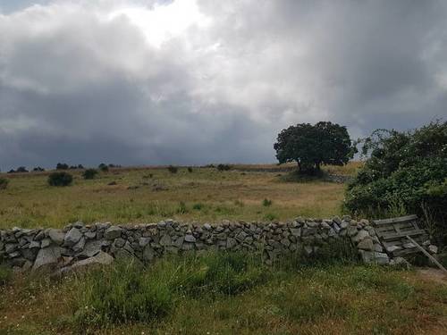 imagen 2 de Venta de finca valla en Navas de San Antonio (Segovia)