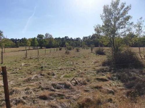 imagen 2 de Venta de terreno rústico vallado y arbolado en Segovia