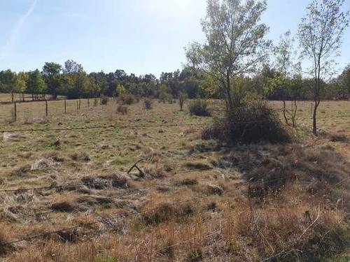 imagen 3 de Venta de terreno rústico vallado y arbolado en Segovia