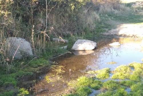 imagen 1 de Venta de parcela ideal para caballos en El Espinar (Segovia)