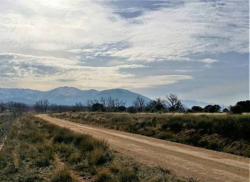imagen 1 de Venta de finca con proyecto para helicultura en Ribota (Segovia)