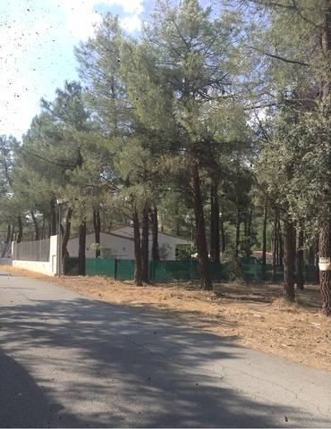 imagen 1 de Venta de terreno con suministros en Marugán