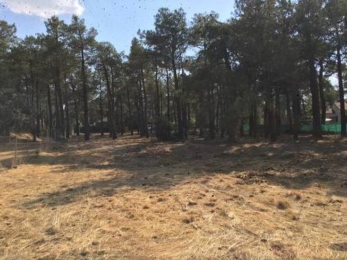 imagen 1 de Venta de terreno con suministros en Marugán