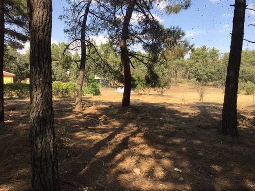 imagen 2 de Venta de terreno con suministros en Marugán