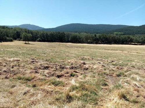 imagen 3 de venta de terreno con boxes para caballos