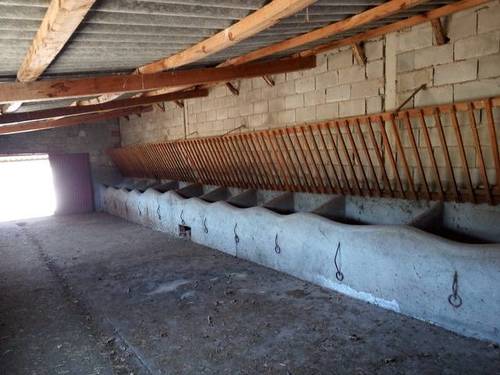 imagen 4 de venta de terreno con boxes para caballos