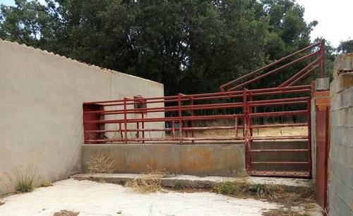imagen 2 de venta de terreno con boxes para caballos