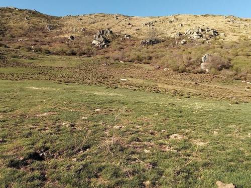 imagen 1 de Venta de finca con buen pasto en El Espinar (Segovia)