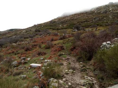 imagen 3 de Venta de finca con buen pasto en El Espinar (Segovia)