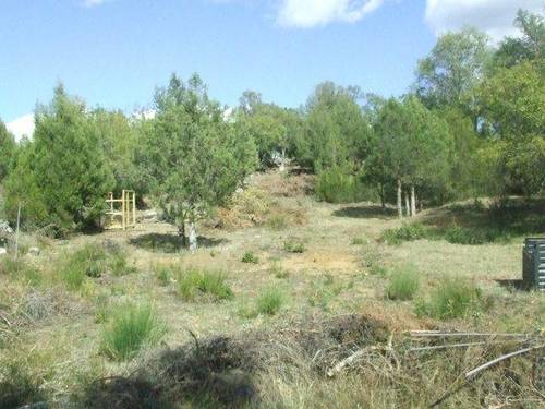 imagen 1 de Venta de  bonita finca rústica en Ventosilla y Tejadilla (Segovia)