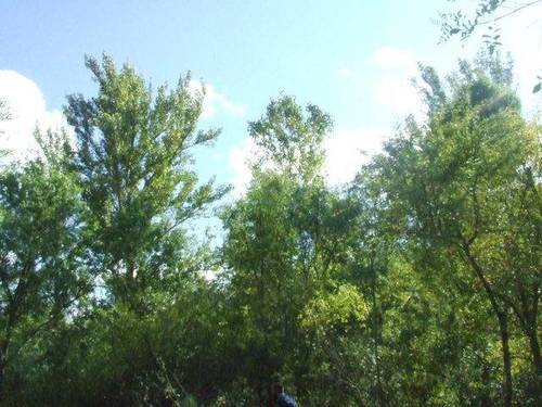imagen 2 de Venta de  bonita finca rústica en Ventosilla y Tejadilla (Segovia)