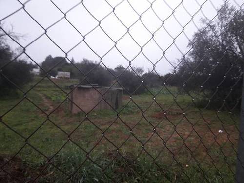imagen 1 de Venta de parcela en Almensilla (Segovia)