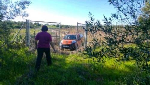 imagen 1 de Venta de terreno vallado con olivos en Tomares (Sevilla)