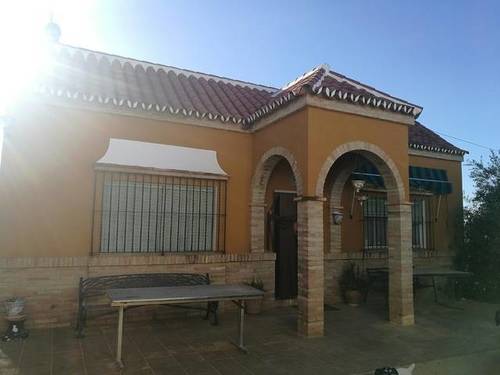 imagen 7 de Venta de finca con casa e instalaciones hípicas en Carmona (Sevilla)